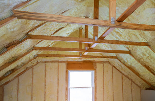 Best Residential Insulation in Brownsville, KY