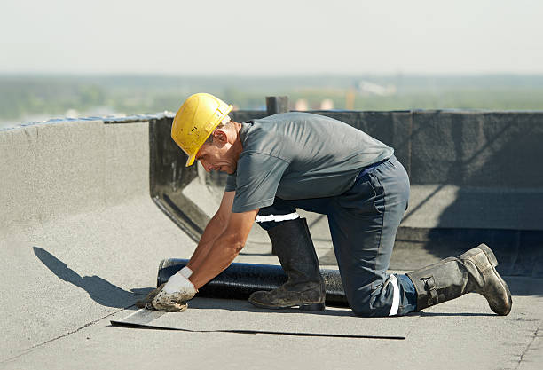 Best Specialty Insulation in Brownsville, KY