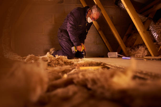 Best Insulation Maintenance and Repair in Brownsville, KY
